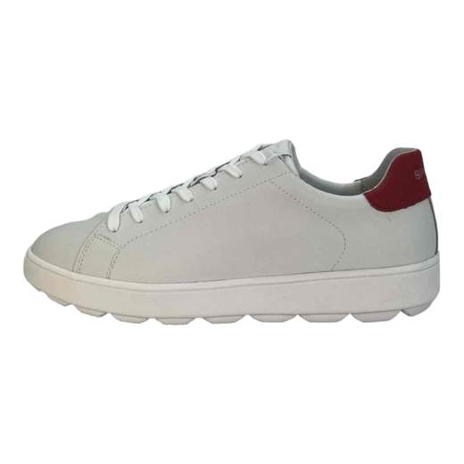 Geox Sneakers Uomo
