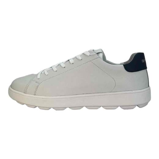 Geox Sneakers Uomo