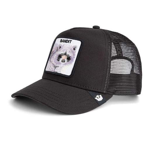 GOORIN BROS 101-2453-VOI