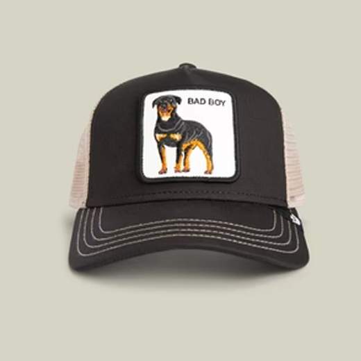 GOORIN BROS 101-2538-VOI