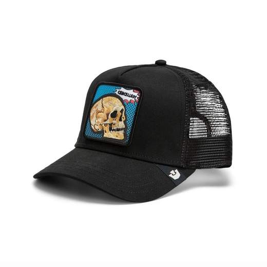 GOORIN BROS 101-3290-VOI