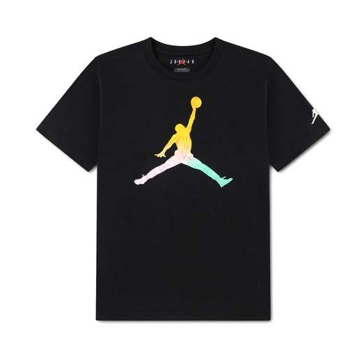 AIR JORDAN 95F822-023