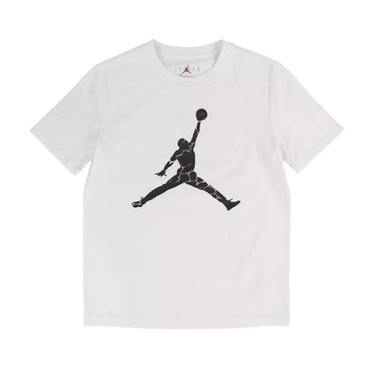 AIR JORDAN 95G009-001