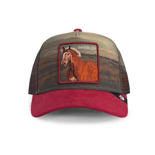 GOORIN BROS 101-2698-CRU