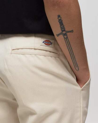 DICKIES DK0A4XK6F901