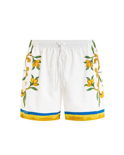 MOVE BOXER SAINT VINCENT