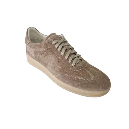 CAMPO NEUTRO H26 cam