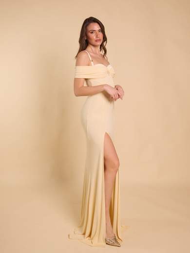 ELISABETTA FRANCHI ABR0851E2