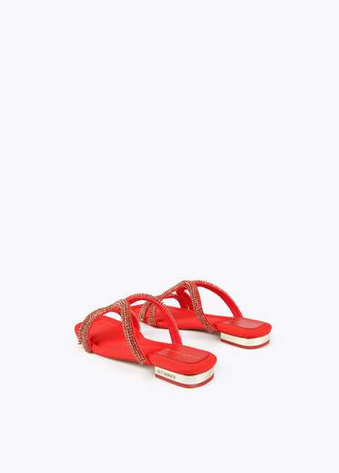 MAITE MS2405001