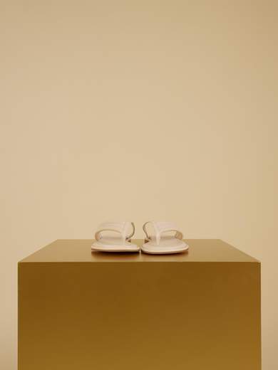 AXEL 12040099