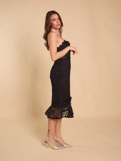 D'ANDREA COLLECTION 25025