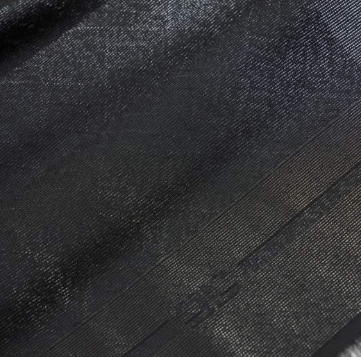 ELISABETTA FRANCHI SC12F56E2