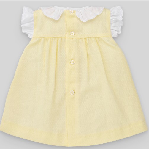 paz rodriguez 151446