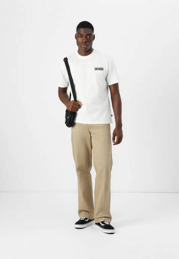 DICKIES DK0A87YO0DS1