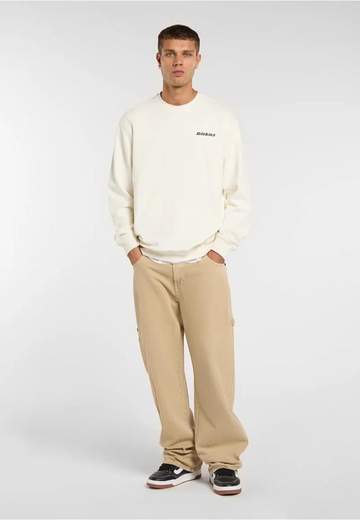 DICKIES DK0A88OCECR1