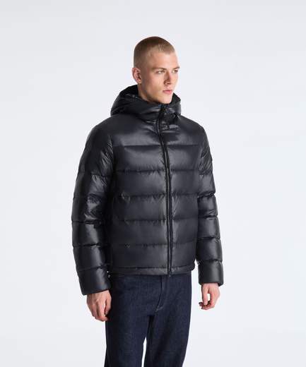 PEUTEREY HONOVA LKS GRS LINEAR 05