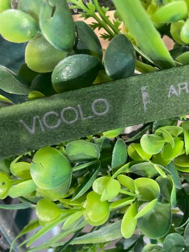 VICOLO CINTURA AF0009