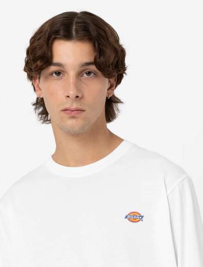 DICKIES DK0A4Y4RWHX
