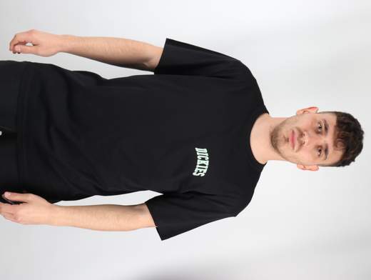 DICKIES T-SHIRT AITKIN CHEST TEE SS UOMO