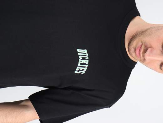 DICKIES T-SHIRT AITKIN CHEST TEE SS UOMO