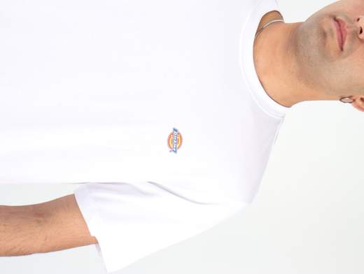 DICKIES T-SHIRT SS MAPLETON T-SHIRT UOMO