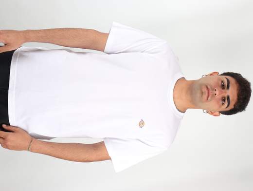 DICKIES T-SHIRT SS MAPLETON T-SHIRT UOMO