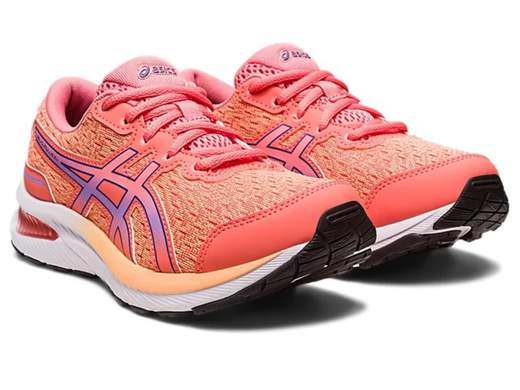 ASICS 1014A270 700