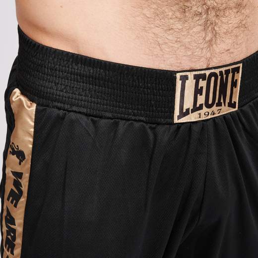 LEONE AB230 01