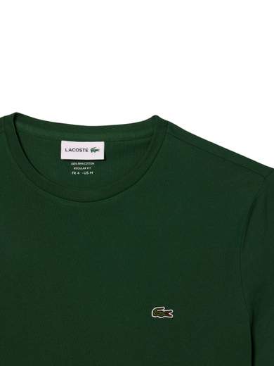LACOSTE T. SHIRT PURO COTONE