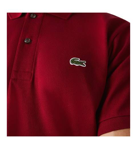 polo lacoste