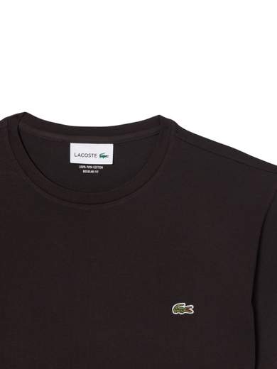 LACOSTE T. SHIRT PURO COTONE