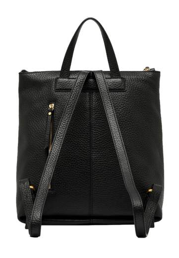 GIANNI CHIARINI ZAINO SANDRA
