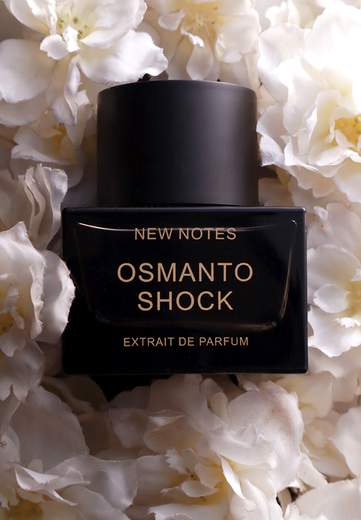 NEW NOTES OSMANTO SHOCK EXTRAIT