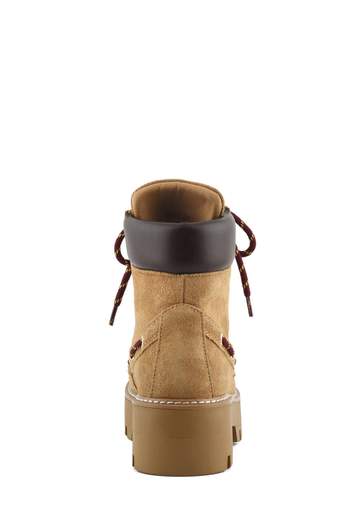 COLORS OF CALIFORNIA ANFIBIO