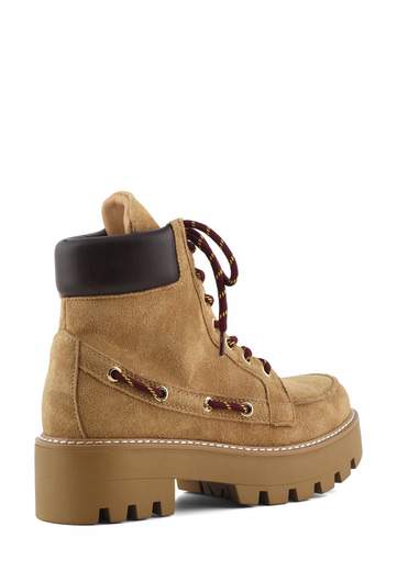 COLORS OF CALIFORNIA ANFIBIO