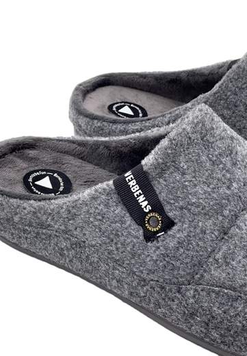 VERBENAS PANTOFOLA EARTH PICOS
