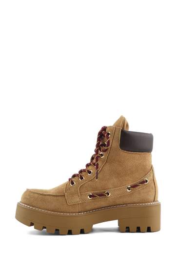 COLORS OF CALIFORNIA ANFIBIO