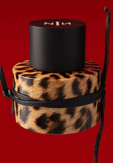 NEW NOTES FELINA EXTRAIT