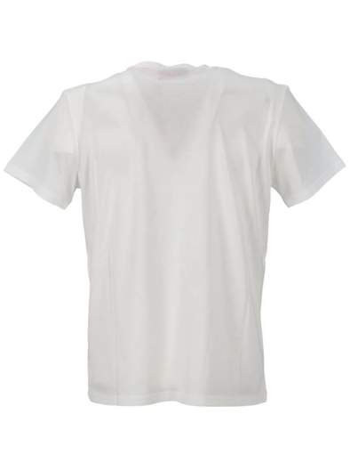 GALLO T-SHIRT UOMO AP 513725