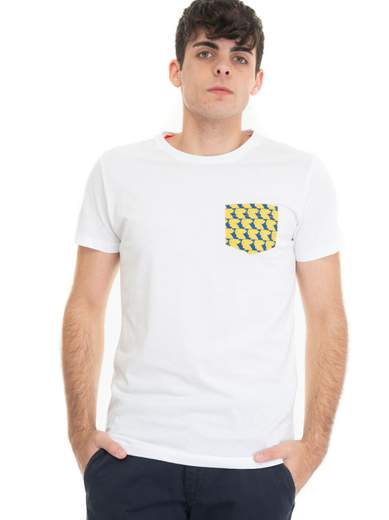 GALLO T-SHIRT E POLO UOMO AP512770