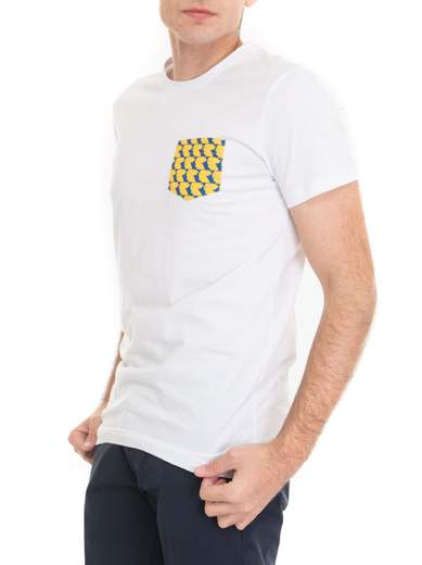GALLO T-SHIRT E POLO UOMO AP512770
