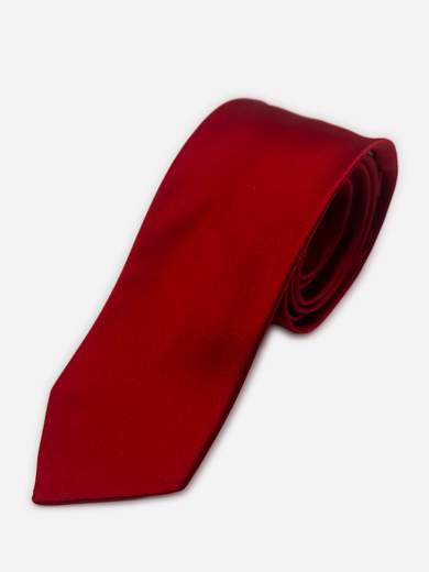 Premium Pure Silk Solid Color Tie
