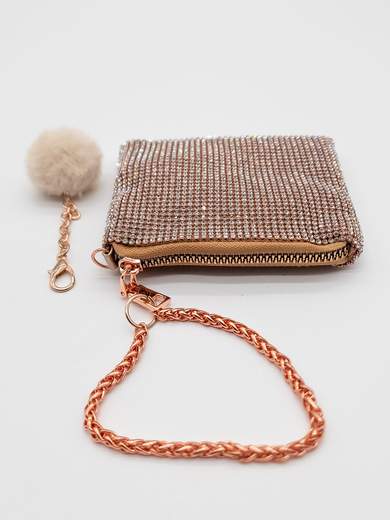 Champagne Mini Pochette with Rhinestones Coin Purse and Document Holder V6064-champagne