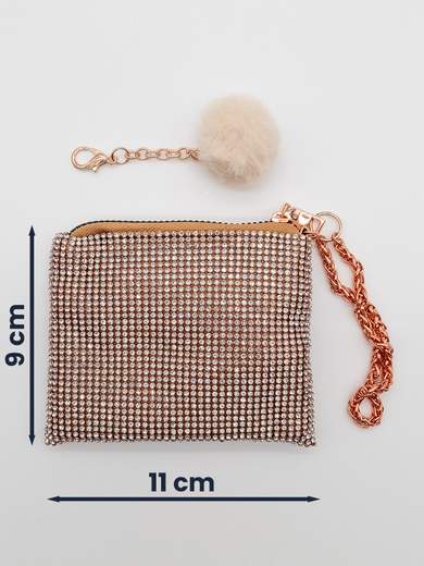 Champagne Mini Pochette with Rhinestones Coin Purse and Document Holder V6064-champagne