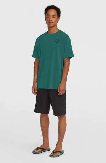 O'NEILL HYBRID SHORTS