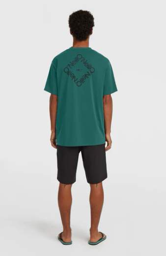 O'NEILL HYBRID SHORTS