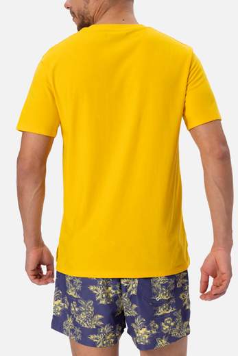 DAVID UOMO T-SHIRT UOMO - DM25047