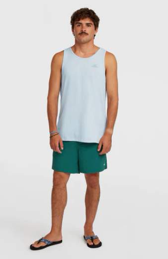 O'NEILL VERT SWIMSHORTS
