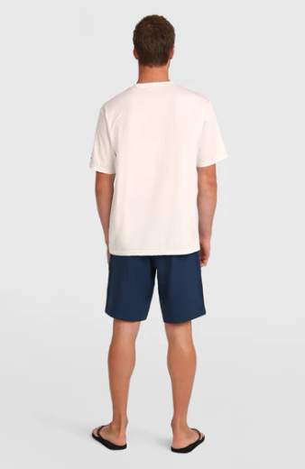 O'NEILL HYBRID SHORTS