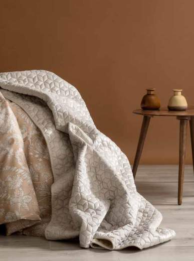 Riviera Plaid Dd02113 Goodly Hive